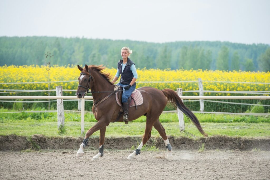 show horse bloodlines