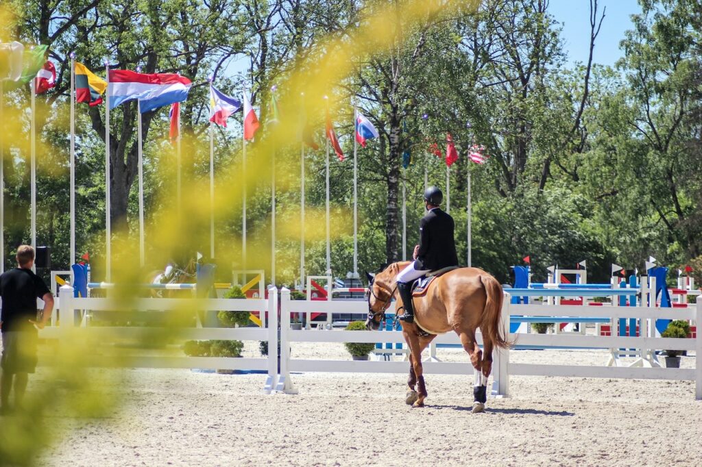 show horse career evolution